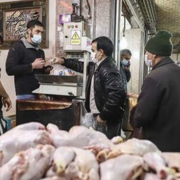 مقابله با عوامل ایجاد بحران مرغ (تشکیل صف‌های طولانی در استان)